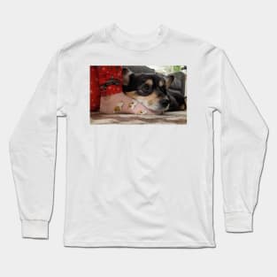 Corgi love Long Sleeve T-Shirt